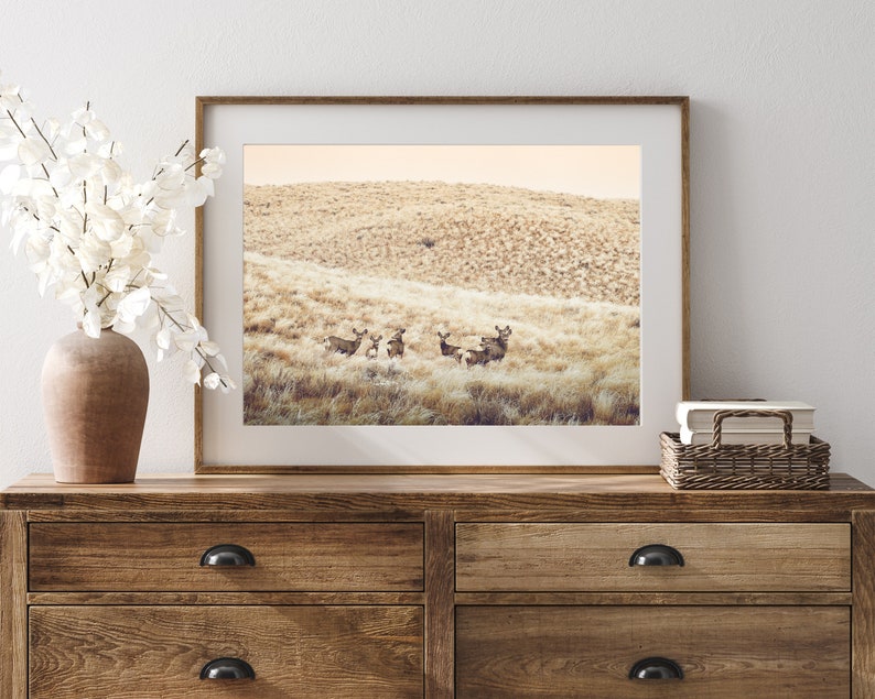 May include: A framed photograph of a group of deer standing in a field of tall grass. The deer are brown and have large antlers. The background is a soft, golden color.