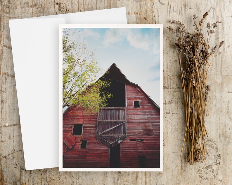 May include: A red wooden barn with a large open door and a green tree in front of it. The barn has a weathered look and is set against a blue sky with white clouds.