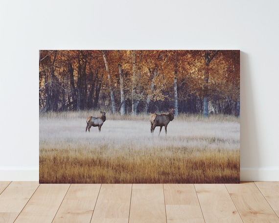 Elk and Fall Trees Landscape Photography - Landscape Wall Art - Idaho Photography - Rustic Decor - Cabin Decor - Farmhouse Decor - Nature