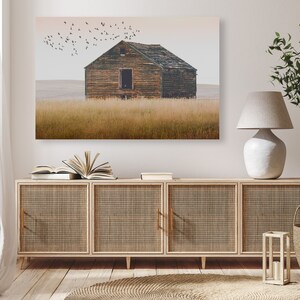 May include: A photograph of a weathered wooden farmhouse in a field with a flock of birds flying overhead. The farmhouse is a light brown color with a dark brown roof. The field is a light brown color with tall grass. The sky is a light blue color with a few clouds.