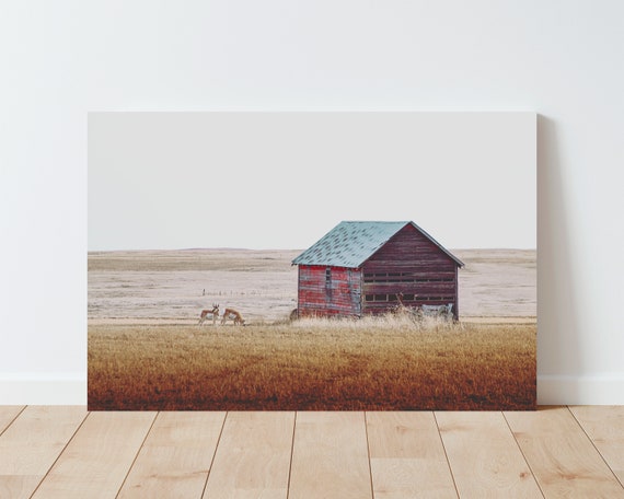 Barn and Pronghorn Photography - Rustic Decor - Barn wall art - Barn photography - Western Decor - Large Wall Art - Living Room Wall Art