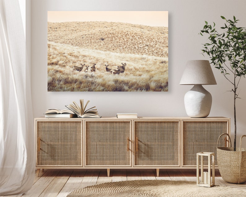May include: A photograph of a group of deer standing in a field of tall grass. The deer are brown and have white spots. The field is a light brown color and the sky is a light blue color.