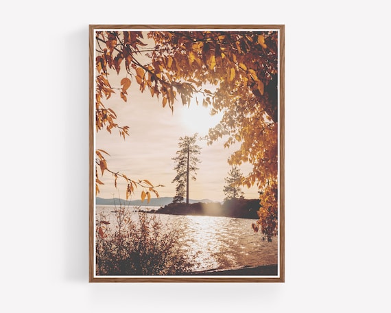 "Lake Tahoe Fall"