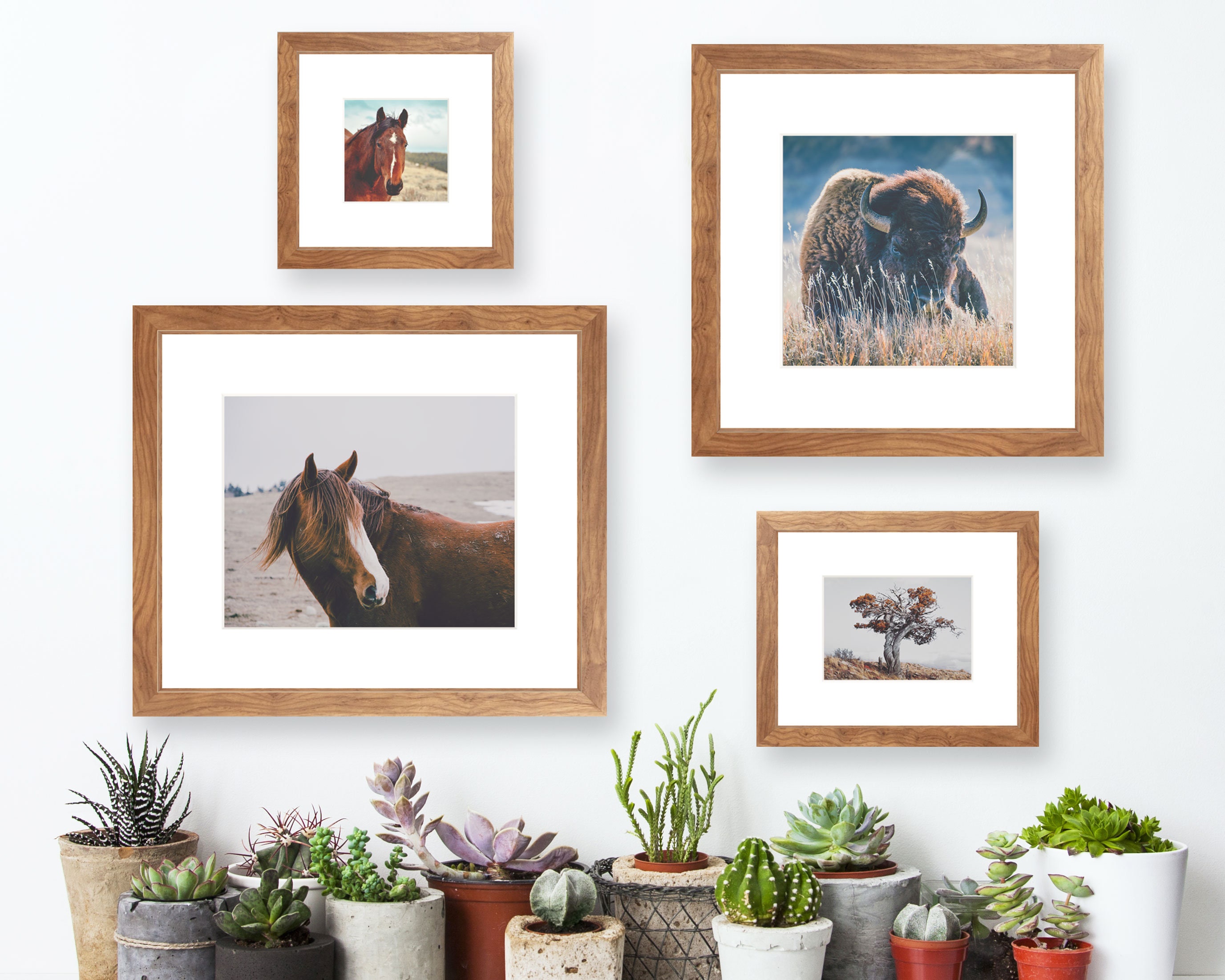 Custom Framed Photography