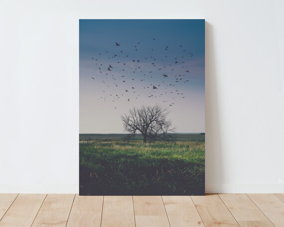Western Landscape Photography - Nature Photography - Moody Landscape - Field - Large wall art - Dreamy Landscape - Montana - Western Decor