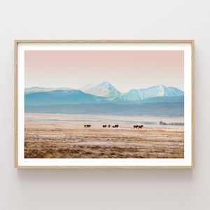 Big Hole Montana Landscape - colorful montana mountains landscape, horses and mountain landscape photography, rural landscape image 1