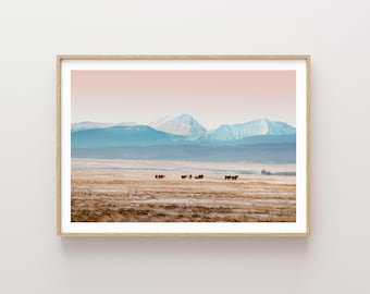 Big Hole Montana Landscape - colorful montana mountains landscape, horses and mountain landscape photography, rural landscape