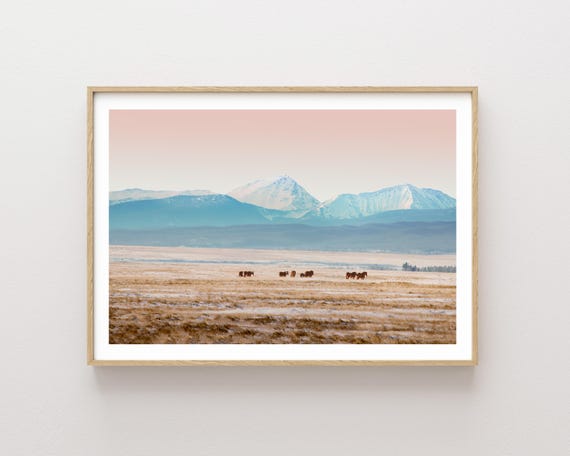 "Big Hole Horses" - Montana horses landscape print - western winter scene photographic print
