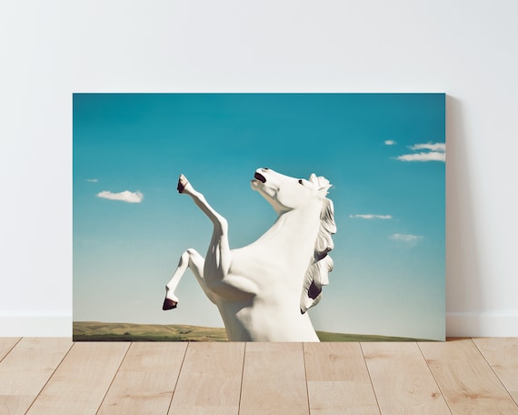 White Horse Photography Print - Horse wall art - Large wall art - mid century modern - panoramic wall art - rustic decor - bedroom wall art