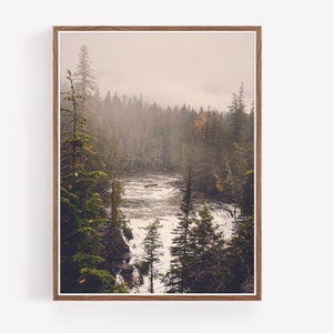 May include: A misty forest scene with a rushing river in the foreground. The trees are mostly evergreen with some fall foliage. The river is whitewater and flows through a rocky channel.