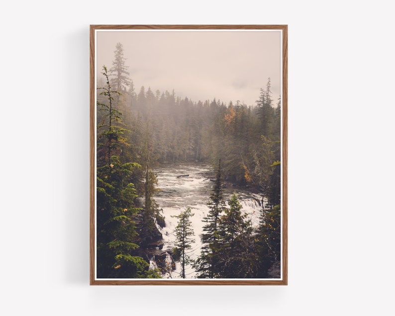 May include: A misty forest scene with a rushing river in the foreground. The trees are mostly evergreen with some fall foliage. The river is whitewater and flows through a rocky channel.