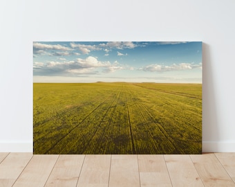 Wheat Field Landscape Photography | Landscape wall art | Nature wall art | Large wall art | Panoramic wall art | Farmhouse Decor | montana