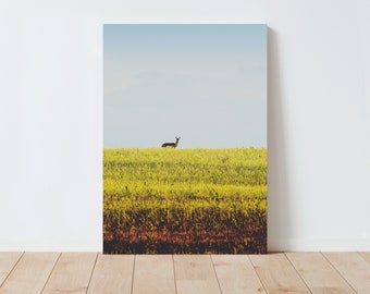 Pronghorn and Colorful Landscape Photography - Nature Wall Art - Landscape Prints - Western Decor - Farmhouse Decor - Living Room Wall Art
