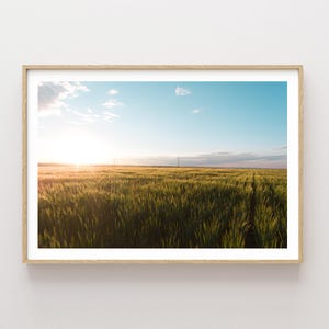 Sunset Wheat Field Landscape Photography - Western wall art - Sunset landscape - large wall art - nature photography - western photography