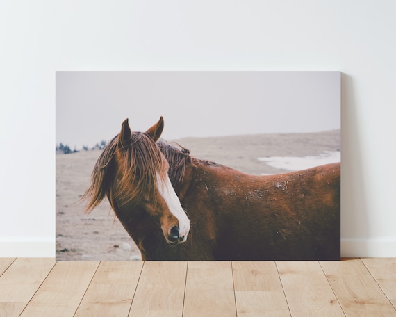 Wild Horse Photography Print - Horse Wall Art - Nature wall art - Cabin Decor - Rustic Decor - Farmhouse Decor - Large wall art - panoramic