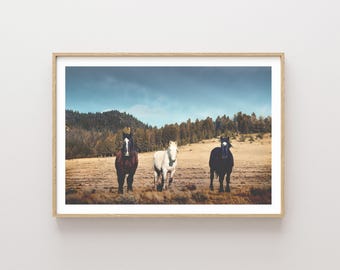 May include: Three horses standing in a field. The horse on the left is brown with a black mane and tail. The horse in the middle is white with a black mane and tail. The horse on the right is black with a white mane and tail.