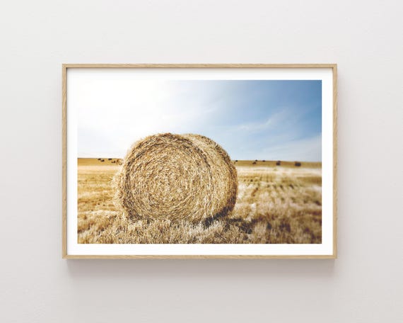 "Come Full Circle" - Scenic Mountains and Wildflowers Landscape Photography