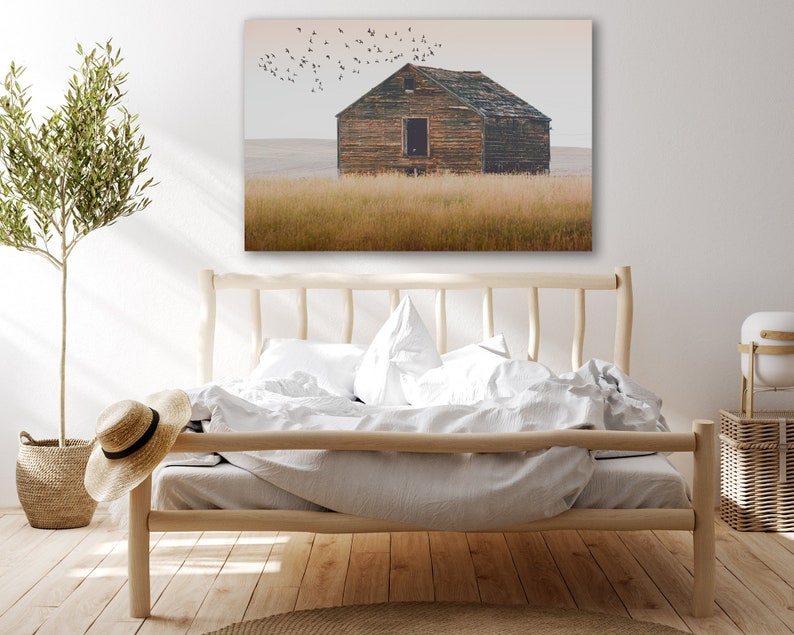 May include: A rustic wooden barn with a single window stands in a field of tall grass. A flock of birds flies overhead against a light blue sky.