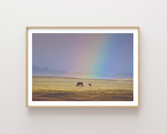 "Little Treasures" - Horse and Foal with Rainbow Landscape Photography