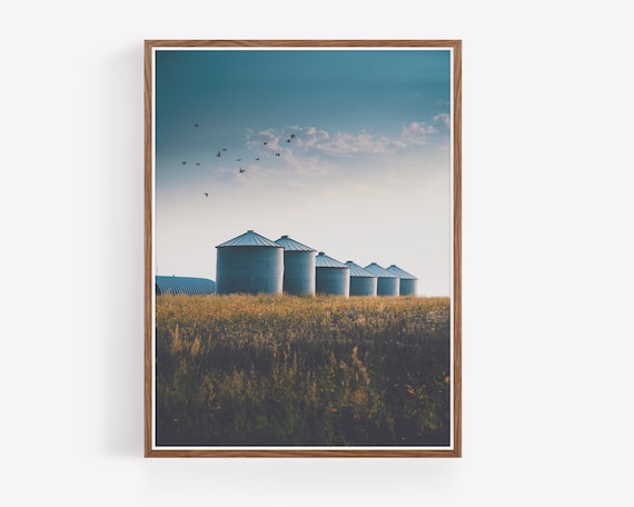 "Summer Silos"