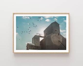 Rustic Grain Elevator and birds landscape photography - Rustic wall art - Nature Photography Print - Large wall art - Western Art Prints