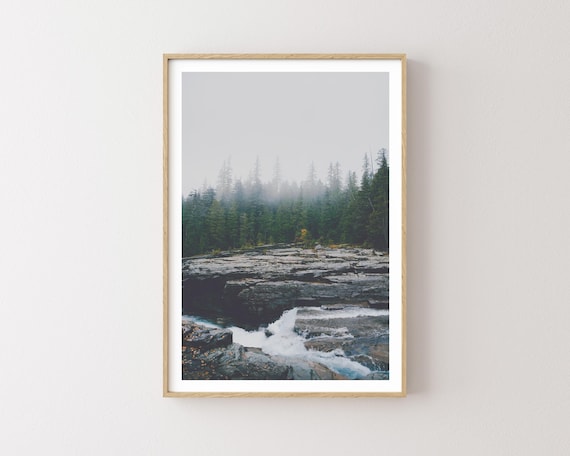 "Where My Mind Goes Quiet" - Dreamy Forest Landscape Print