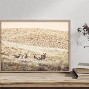 May include: A framed photograph of a group of deer standing in a field of tall, dry grass. The deer are brown and white, and the grass is a light brown color. The background is a hazy, light brown color.