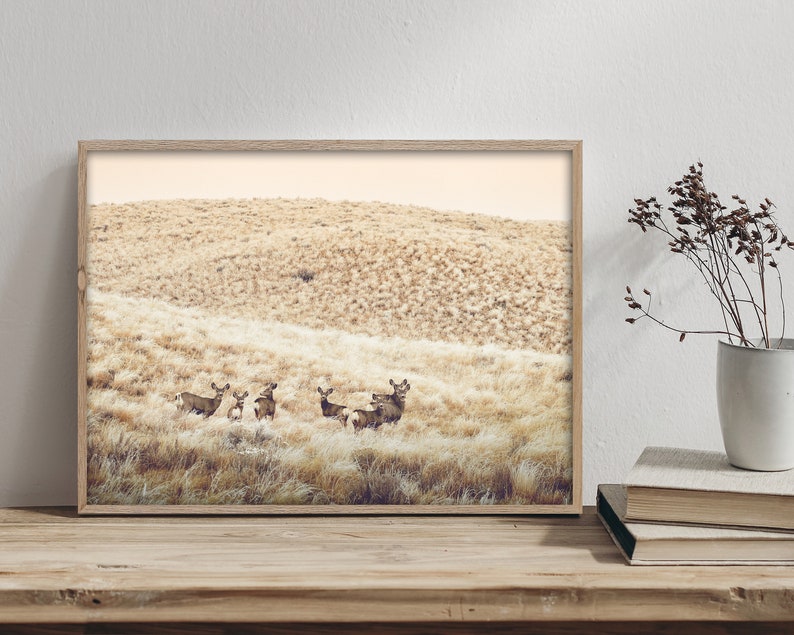 May include: A framed photograph of a group of deer standing in a field of tall, dry grass. The deer are brown and white, and the grass is a light brown color. The background is a hazy, light brown color.