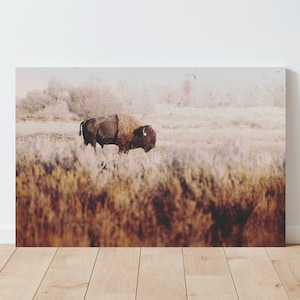 Scenic Bison Photography - Western Landscape - Western Decor - Bison Print - Large wall art - Western Wall Art - Rustic Decor - Americana
