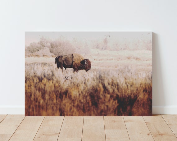 Scenic Bison Photography - Western Landscape - Western Decor - Bison Print - Large wall art - Western Wall Art - Rustic Decor - Americana
