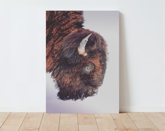 Bison Nature Photography Print - Yellowstone Park Wall Art - Bison Wall Art - Western Decor - Nature wall art - Large wall art - Wyoming art