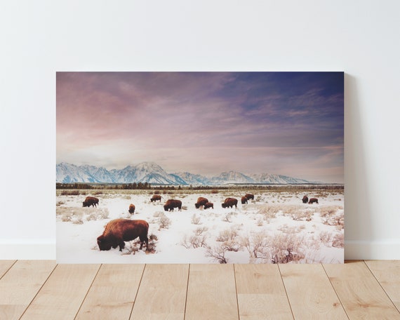 Tetons National Park Landscape Wall Art - mountain wall art - Large wall art - landscape wall art - Nature Art - panoramic landscape - Bison