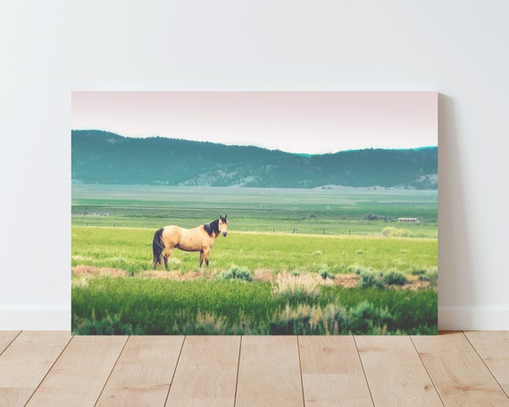 Horse and Dreamy Rural Landscape Photography Print - Landscape wall art - Horse wall art - Horse Photography - Farmhouse Decor - Rustic