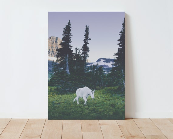 Mountain Goat in Glacier National Park - Landscape Wall Art - Nature wall art - mountain wall art - montana - cabin decor - nature prints