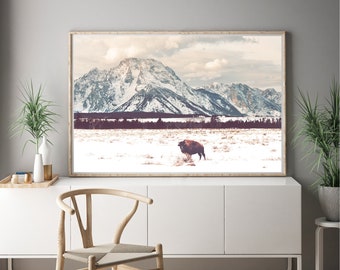 Bison and Tetons Mountains Landscape Photography - beautiful mountain landscape in wyoming, snowy mountain landscape, nature photography