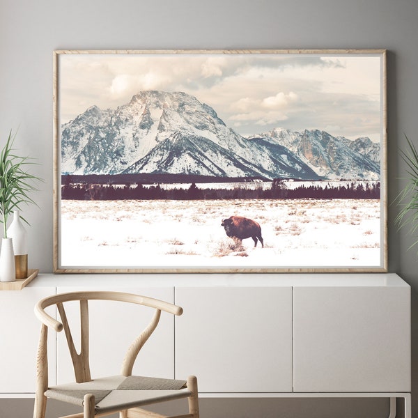 Bison and Tetons Mountains Landscape Photography - beautiful mountain landscape in wyoming, snowy mountain landscape, nature photography