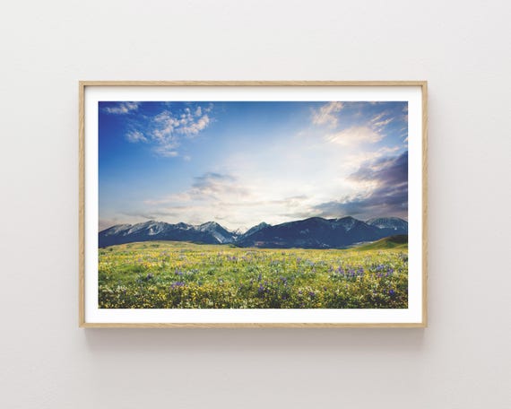 "Empty Spaces" - Scenic Mountains and Wildflowers Landscape Photography