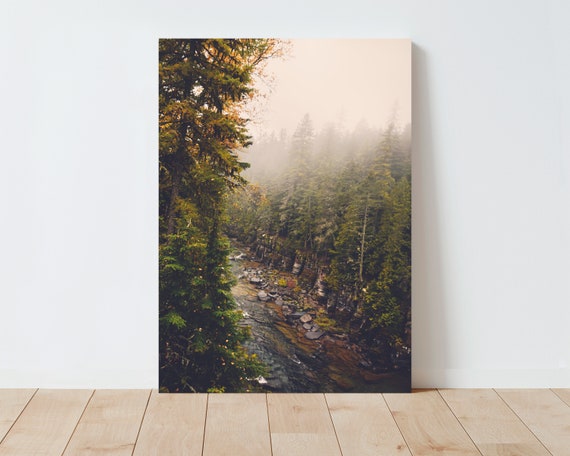 Fine Art Forest Landscape Photography - Glacier National Park - Landscape Prints - Moody Landscape - Nature Photography - Large wall art