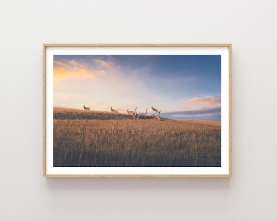 "Leaps and Bounds" - Deer jumping fence fine art nature photography