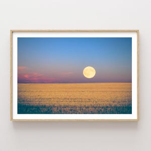 May include: A full moon hangs in a blue sky over a field of golden wheat. The sky is a gradient of blue, pink, and purple.