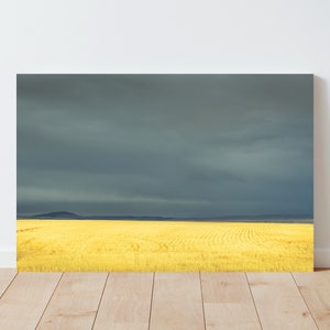 Fine Art Wheat Field and Storm Landscape Photography - Western wall art - western decor - Farmhouse Decor - Minimalist Landscape - Moody Sky