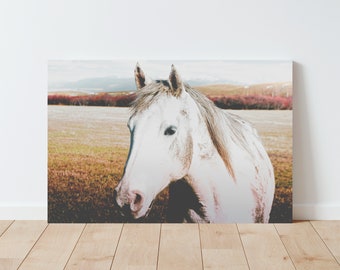 Dreamy Horse Photography - Farmhouse Decor - Rustic Decor - Western Decor - Living Room wall art - Horse wall art - bedroom print - boho