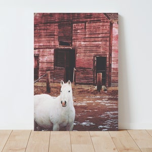Horse and Rustic Red Barn Photography - barn wall art - barn photography - farmhouse decor - rustic decor - rustic wall decor - nature print