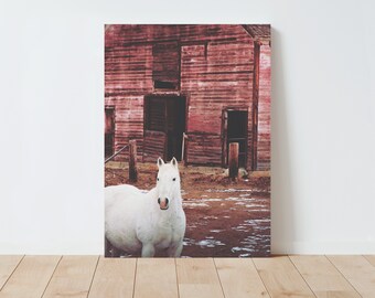 Horse and Rustic Red Barn Photography - barn wall art - barn photography - farmhouse decor - rustic decor - rustic wall decor - nature print