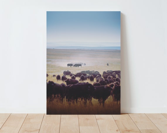 Fine Art Western Landscape Wall Art - Bison photography - Landscape nature Wildlife Buffalo Fine Art Photography Home Wall Decor Boho Prints