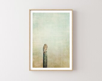 Owl Nature Photography Print - Eagle Owl wall art - Large wall art - Nature Prints - Owl Decor - Rustic wall art - Western art - Minimalist