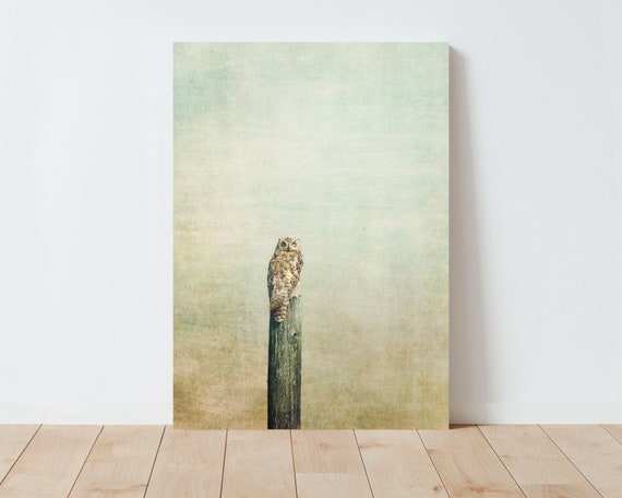 Rustic Owl Photography Print - Owl Wall Art - Nature Wall Art - Western Decor - Boho Decor - Owl Print - Western Wall Art - Large wall art