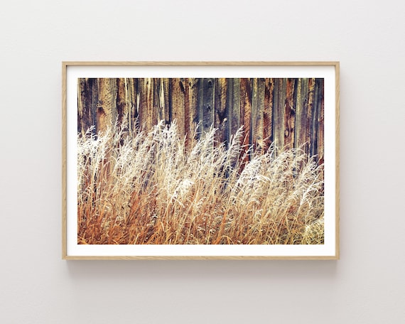 "Against the Grain" - Montana Fall Grasses Wall Art - Rustic Nature Photography - Prairie Landscape Print - large wall art
