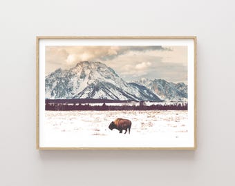 Tetons and Bison Landscape - Mountains wall art - western art - Jackson Hole travel photography - nature prints - large wall art - Bison Art