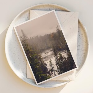 May include: A postcard with a photograph of a river flowing through a forest. The river is surrounded by trees and the sky is a light brown color.
